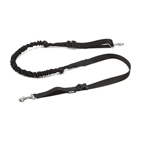 canicross bungee lead