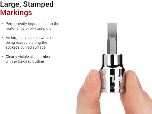 Image of TEKTON 3 /8 Inch Drive x 1 /4 Inch Slotted Bit Socket | SHB10202