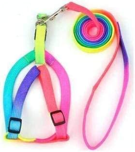 Pups&Pets Rainbow Color Puppy Harness & Leash Set Small Dog Harness Leash Size 15 MM (Harness + Leash) (B09X31K6T3) Amazon Price History, Amazon Price Tracker