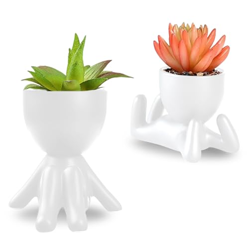Plantes de Cactus Succulentes en Céramique Noire Design