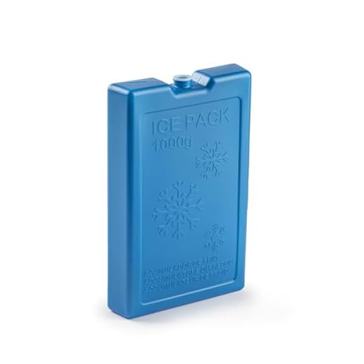 CABLEPELADO Acumulador De Frio, Bloque refrigerante, Acumulador de hielo, Bloques de Hielo, Reutilizables, 22 x 14.5 cm, Apto para Nevera portatil, Azul, 1000 gramos