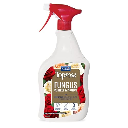 Toprose - Fungus Control and Protect ready to use - Protects Roses from Disease for Stronger Healthier Blooms - Plant Protection Rose Care Ready to Use Black Spot Control - 1L