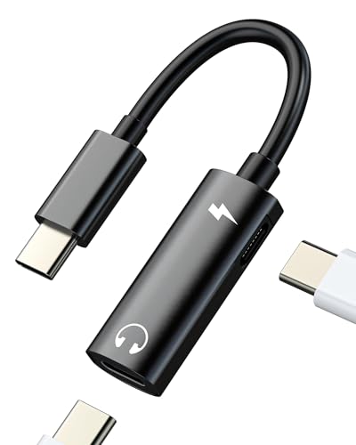 USB CCzWbN[dA_v^[i2in1jApplep fAType-C DACI[fBI[dϊ ΉiPhone 16 15 Pro MAX ΉiPad ΉSamsung S25 S24 S23Ή Ro[^[