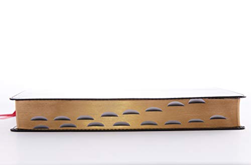 Holy Bible: King James Version, Reference, Giant