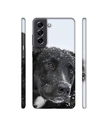 Image of Amazon Brand-Solimo Basic Case for Samsung Galaxy S21 FE 5G (Plastic Multicolor)
