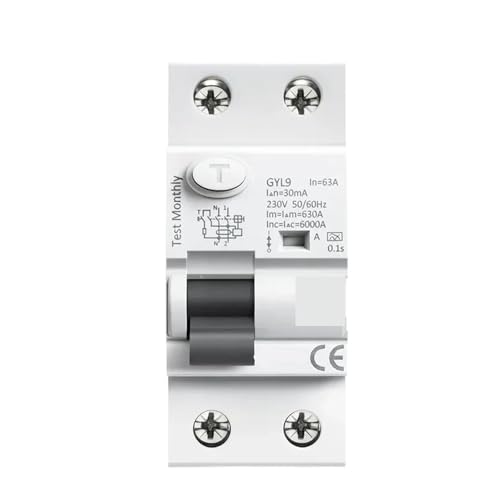 Disjoncteur différentiel GYL9 Type A 2P 63A 100mA pour la protection électromagnétique