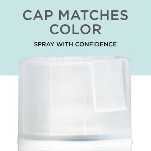 Image of Rust-Oleum Chalked 302599 Ultra Matte Chalky Smooth Finish Spray Paint, MATTE CLEAR, (340 grams /Can)