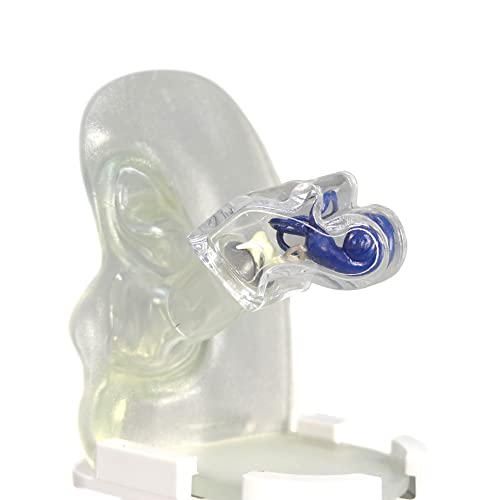 GPI Anatomicals - Clear Ear Model, Replica of a Normal Ear for Human Anatomy and Physiology Education, Anatomy Model for Doctor's Offices and Classrooms, Medical Learning Resources