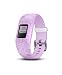Garmin vívofit jr 2, Kids Fitness/Activity Tracker, 1-Year Battery Life, Adjustable Band, Disney Princess, Purple