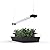 BoostGro 3FT LED Succulent Terrarium Plant Grow Light Linkable Full Spectrum Daylight with Enhanced 660nm Red and 450nm Blue LightTech Indoor Lighting Fixture (3 FT)