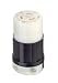 Leviton 2313 20 Amp, 125 Volt, NEMA L5-20R, 2P, 3W, Locking Connector, Industrial Grade, Grounding- Black-White