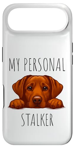 Funny Fox Red Labrador Dog Owner X}zP[X iPhone Air p