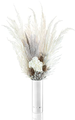 EG EMMIE GRAY Vintage Infinity | White Glow | M - Incluye jarrón de cristal, hierba de Pampas de alta calidad, decoración del hogar, ramo seco, decoración bohemia, flores secas, flores secas Cover
