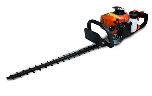 Stayer – Gas Rose 710 Gas Rose 710. 0.65 kW 3000 – 7500 Min