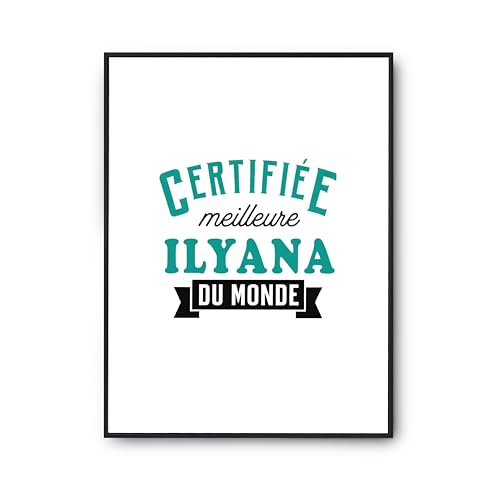 Poster Ilyana pour mur vide - Affiche décoration murale humour Otshirt pour intérieur personnalisé