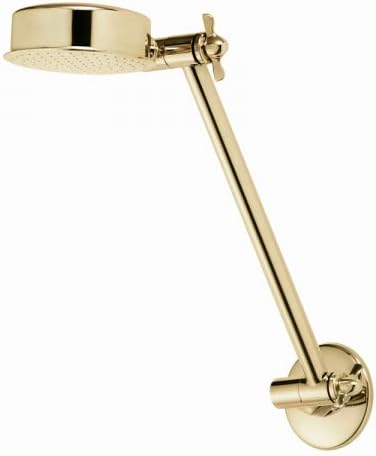 Aussie Rain Shower Head with 9" Extension - Titanium Gold