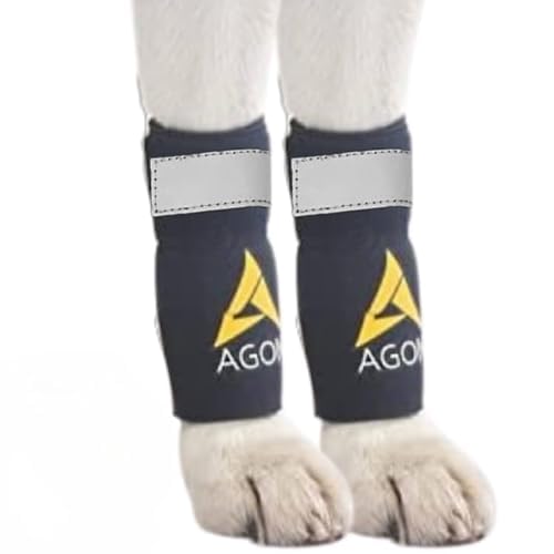 AGON Dog Front Leg Brace Pair with Metal Strings and Reflective Wraps Paw Compression Wrap for Canine Protects Wounds Brace Heals and Prevents