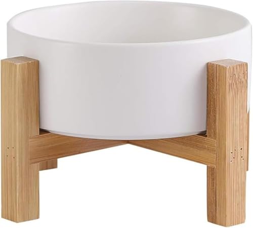 AOBOPO ybgHFVR|X^htt[h{E Lp ^pa LюMݎM ~߈ O\ȒP Hׂ₷wXEH[^[{E L̃GTꌢp݊ pIybgpi