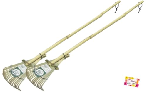 ŷɁIyɎg~jTCŶ܂łł!z ~jF | ݂Ђt K[fjO | tW 80cm y2Zbgz