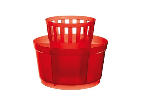 Excèlsa Regenbogen, Rot, Besteckkorb 15 cm.