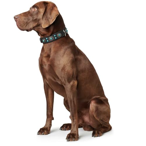 HUNTER SIOUX Hundehalsband, Leder, indianischer Stil, mit Schmucksteinen, 60 (M-L), schwarz