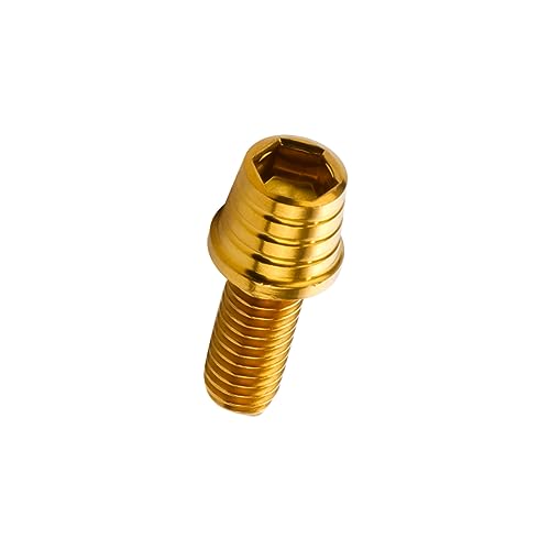 �L���b�v�{���g M5× 12mm �e�[�p�[�V�F���w�b�h �X�e�����X�� �S�[���h �J�X�^���{���g 4�{�Z�b�g