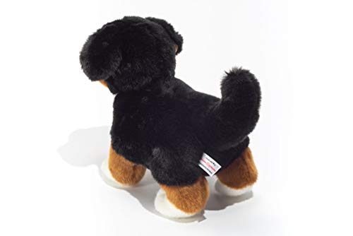 Teddy Hermann 91930 Hund Berner Sennenhund Welpe 23 cm, Kuscheltier mit idealem Recyclinganteil (Füllmaterial)