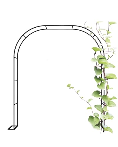 Tonnelle de jardin pour plantes grimpantes et aménagement de fête
