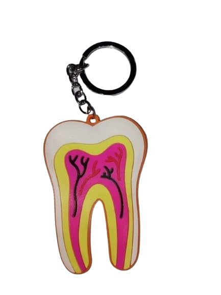 NMD NEXUS MEDODENT Dental Root shape large size Rubber keychain (Pack of 1)-image-10
