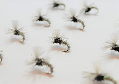 uN[N GbWv Premium Collection NNn}[EHxpV[g 12 tC (14, o[uhiԂj)