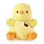 Duck Duck