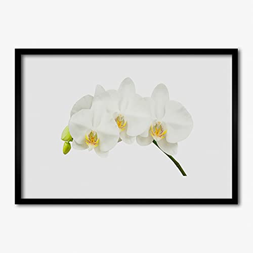 Affiche encadrée grand format 70x50 cm Tulup pour habiller un mur vide facilement