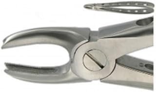 English Extraction Forceps, Upper Canines No. 168
