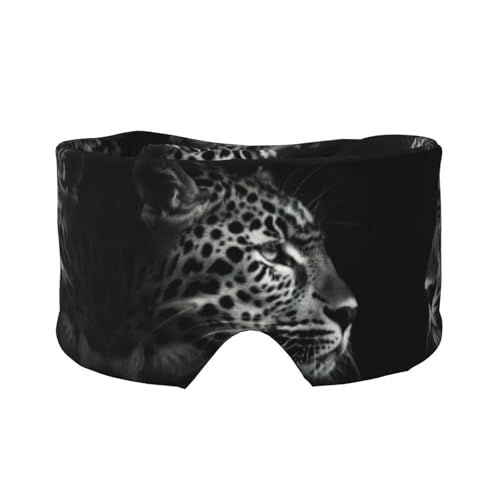 qEX[v}XNA_炩ɗDACJo[As/K̂QpՌ}XNB