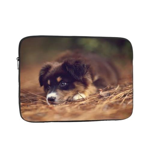 PcP[X Pc[Jo 10 12 13 15 17C`Ή {[_[R[ Fq{P ϏՌH m[gp\R P[X ʋ ʊw s o m[gpc P[X rWlX  yʃp\RobO 17 Inch