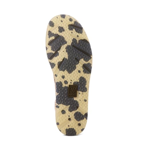 Image of ARIAT Cruiser
