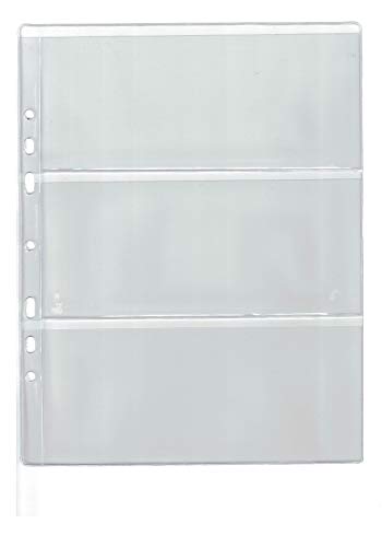 COLECCIONISTA   10 hojas de álbum para billetes y billetes. Encartes adicionales para coleccionistas y numismáticos   Tipo de página 3