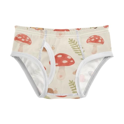 GuoChe Underwear Toddler Boy Pure Cotton in Sizes 2T-8Y
