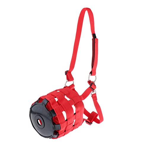 RNXRZANK npiC}YAz^[tAċz₷fUC L/M/S TCY, bhL