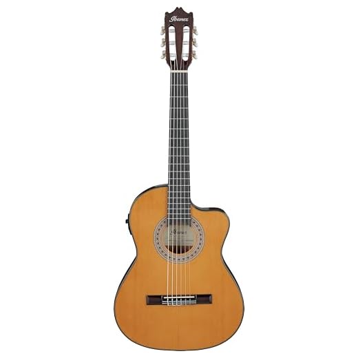Ibanez Acoustic guitar / GA5TCE3QAM Standard