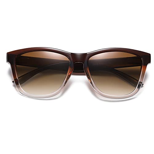 DANAMY Sunglasses Womens Polarized Sunglasses for Women Trendy Designer Mirrored UV Protection Sun Glasses