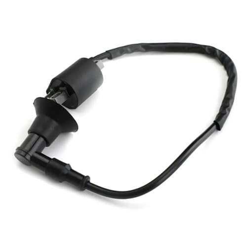 Bobine d'allumage Polaris Sportsman 90 pour réparer et booster le quad