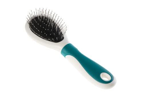 Gimdog Brosse à dents arrondis pour chiens, chats et rongeurs 6,5 x 21 x 5 cm
