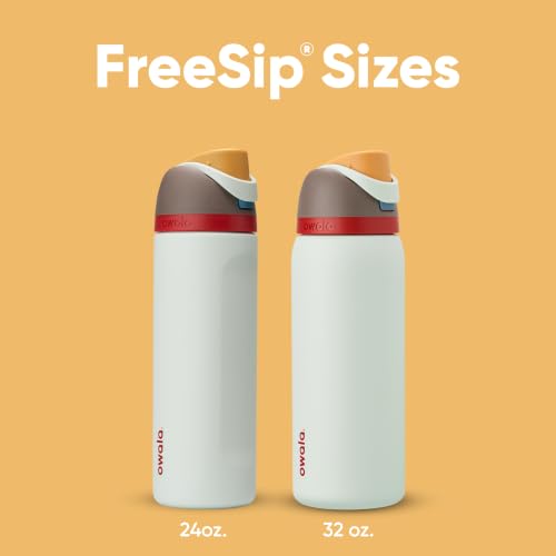 Image of Owala FreeSip Insulated Stainless Steel Water Bottle with Straw, BPA-Free Sports Water Bottle, Great for Travel, 24 Oz, Boneyard