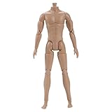 Conception du corps masculin musclé : Fabriqué avec une anatomie musculaire détaillée, ce corps de figurine vierge constitue une base idéale pour les figurines d'action personnalisées ou les créations de poupées, améliorant l'authenticité de chaque présentoir.
