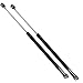 Qty (2) Fits 4Runner 1996 To 2002 Liftgate Lift Supports (Models With Added Ladder)