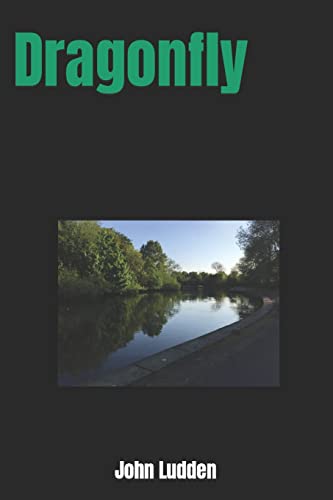 Dragonfly (My books on the North)