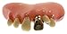 Billy Bob Teeth, Inc. Mens Big Cletus Gold Teeth One Size Fits Most Off-White