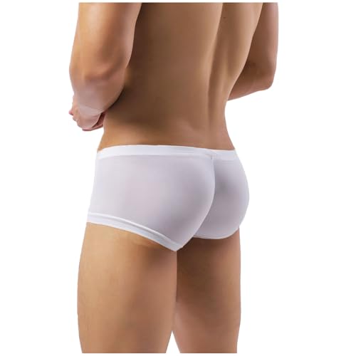 ZC8bdbd Boxer Slip pour Homme en Soie de Glace sans Couture à Taille Basse Respirante, blanc, Medium