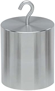 Troemner 12316-S 500 g Class F Stainless Steel Hook Top Weight with No Cert